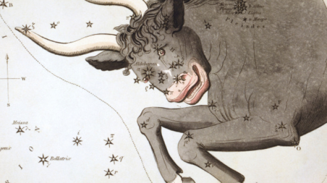 Oroscopo aprile, previsioni Toro: qualche compromesso in pi&ugrave;