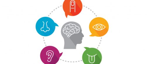 Mais do que s&oacute; 5 sentidos - Banco de imagens BN