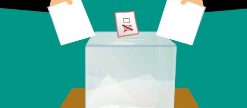 Electoral College: Objective reasons for keeping it in the USA [Image credit -mohamed_hassan - Pixabay]