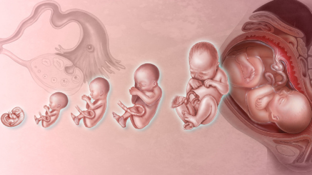 Colombia, bambina nasce con la gemella al suo interno: operata