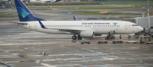 Authorities are still investigating the cause of the two deadly crashes involving the 737 Max aircraft (via WikiMedia Commons|Terence Ong)