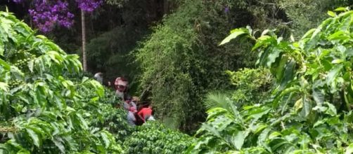 Local onde corpo foi encontrado &eacute; de dif&iacute;cil acesso. (Reprodu&ccedil;&atilde;o/ESTV)