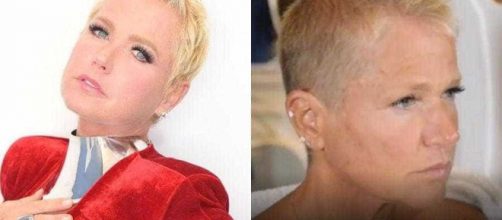 Xuxa antes e depois do novo visual (Arquivo Blasting News)