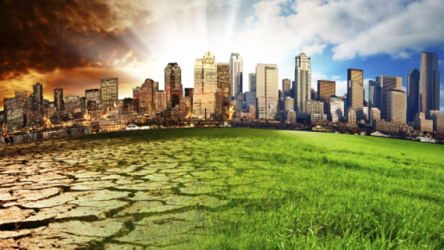 Ambiente: gli scienziati scendono in campo per appoggiare gli studenti - eunews.it