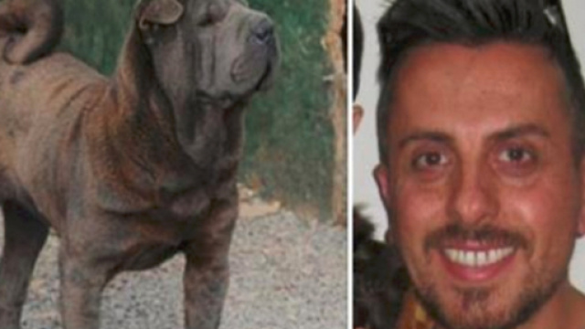 Sbranato a morte dal suo stesso cane, l'amico pi&ugrave; fedele: trovato dalla moglie in una pozza di sangue - Il Mattino
