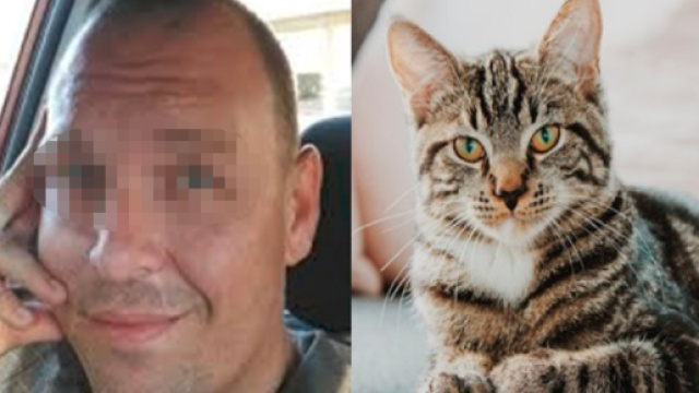 Sorpreso ad avere rapporti intimi col suo gatto sotto la doccia: arrestato maniaco. Animale agonizzante - Teleclubitalia