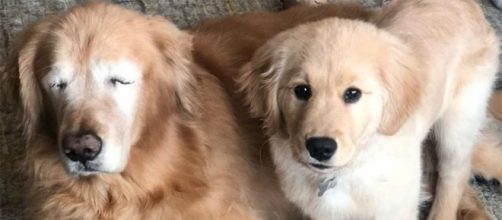 Clarlie e Maverick. (Reprodu&ccedil;&atilde;o/Instagram/@charlieandmav)