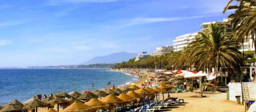 The Costa del Sol is not only about beautiful beaches and sunshine. There are many animal attractions to visit. [Image Pexels]