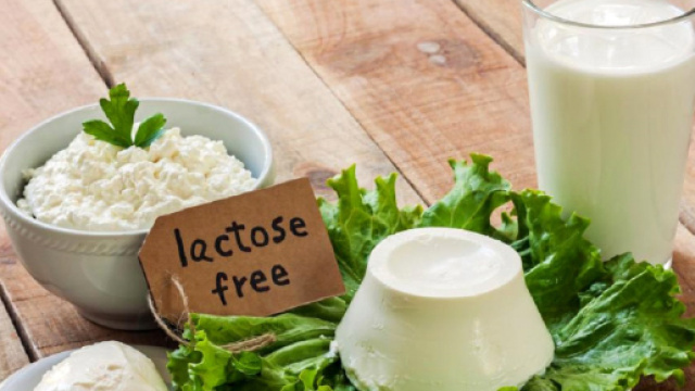 Derivati del latte delattosati senza carenze di nutrienti per intolleranti al lattosio.