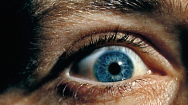 Les Acacias &bull; Le Voyeur - acaciasfilms.com