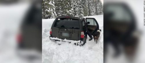 Hombre sobrevive atrapado en un coche con su perro