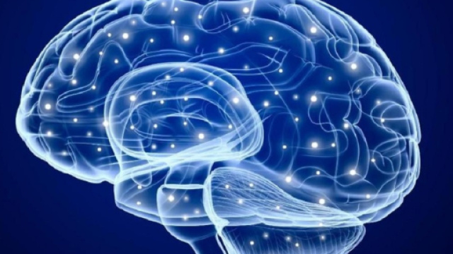 Nel cervello degli anziani c&rsquo;&egrave; una riserva di cellule staminali dormienti che pu&ograve; essere riattivata, per riparare i danni dei neuroni cerebrali.