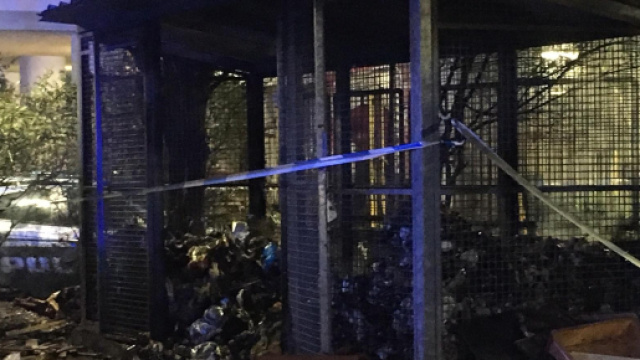 Corpo decapitato a Milano: arti tagliati - virgilio.it