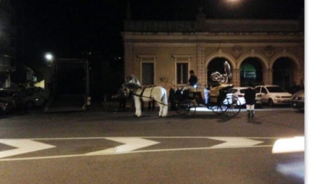 Ancona: la carrozza trainata da cavalli non piace agli animalisti.