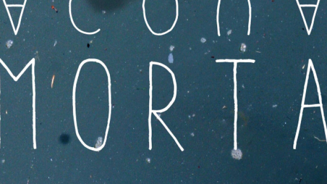 Romanzo: Acqua Morta di David Ballerini