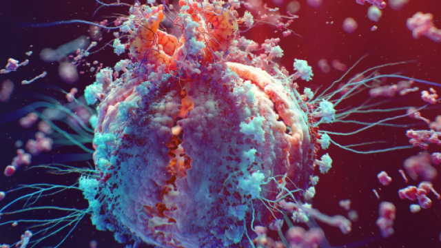 Aids: in un paziente il virus HIV &egrave; stato fermato da una particolare proteina - tpi.it