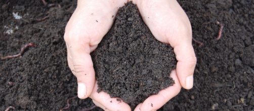 Compostagem dom&eacute;stica - (Banco de imagens Blasting News)