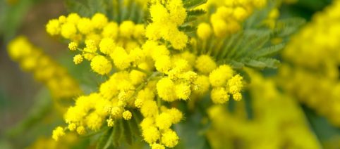 Amnesty International invita anche l'Italia a modificare le leggi sulle violenze sessuali