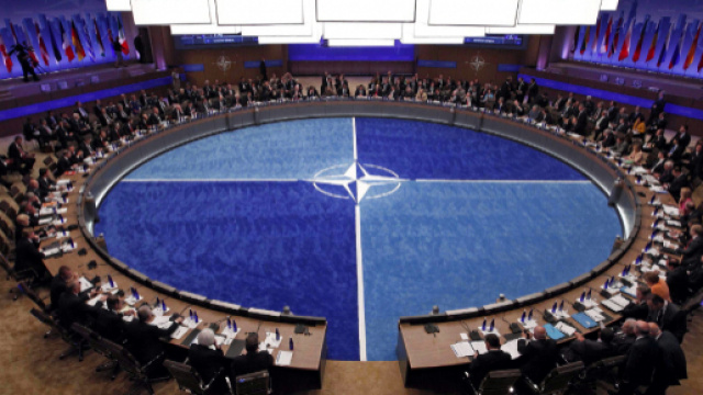 Tirocini alla Nato per studenti e laureati