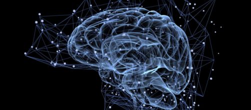 Un joven muere por una plaga de gusanos en el cerebro