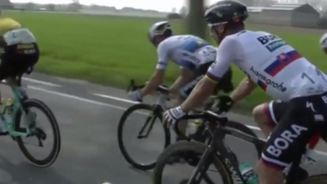 Peter Sagan all'attacco alla Gand-Wevelgem