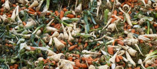 JULIO5-DESPERDICIO POSTCOSECHA - Tierra F&eacute;rtil&reg; Multimedia ... - com.mx