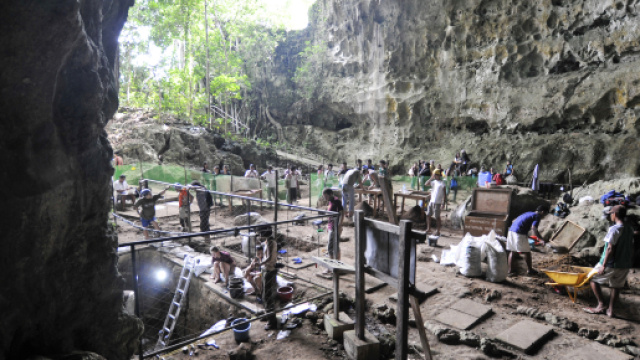Homo luzonensis" : d&eacute;couverte d'une nouvelle esp&egrave;ce humaine