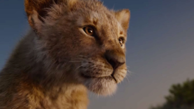 Il re leone trailer italiano, il cerchio della vita nel nuovo full ... - bestmovie.it