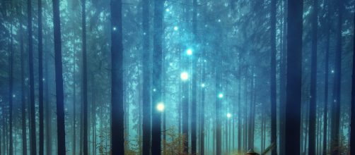 5 top movies of 2019 [Image credit - CCO / Pixabay]