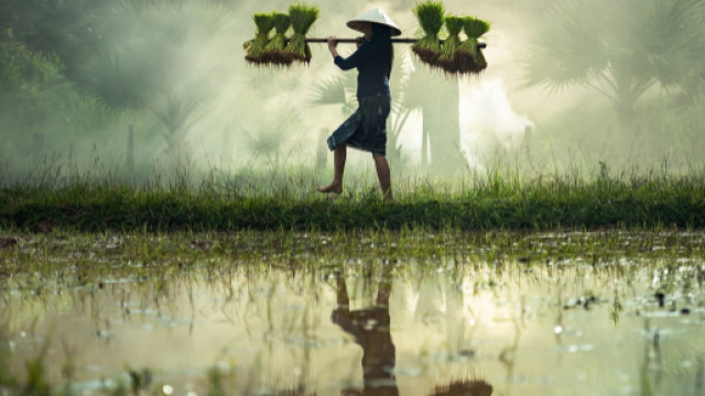 Orosocopo marted&igrave; 7 maggio 2019