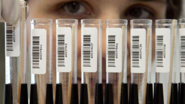 In Olanda un medico della fertilit&agrave; ha usato il suo seme al posto di quello dei donatori: &egrave; padre biologico di almeno 49 figli.