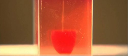 Cientistas criaram em impressora 3D cora&ccedil;&atilde;o que se contrai. (Reprodu&ccedil;&atilde;o/Herald Sun)