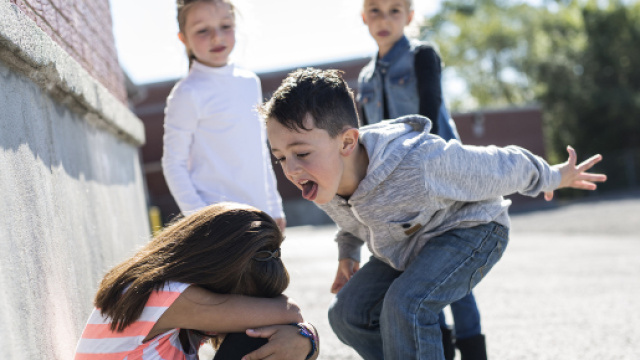 Ferrara, bimbo ebreo aggredito a scuola: 'Riapriremo i forni di Auschwitz'