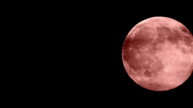 Questa sera, 19 aprile, sar&agrave; possibile ammirare la Luna rosa.