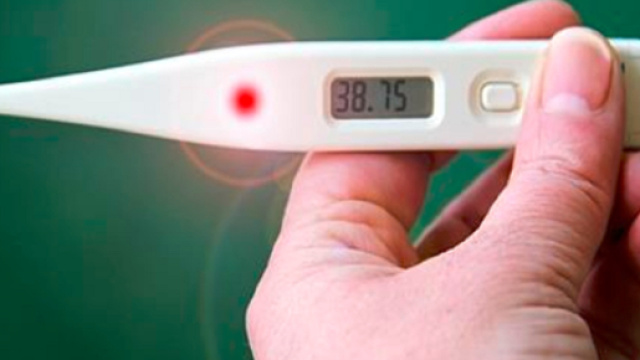 Influenza pi&ugrave; aggressiva, otto milioni di casi in Italia e quasi duecento morti