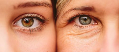 Alimentos que ajudam a prevenir rugas. (Arquivo Blasting News)