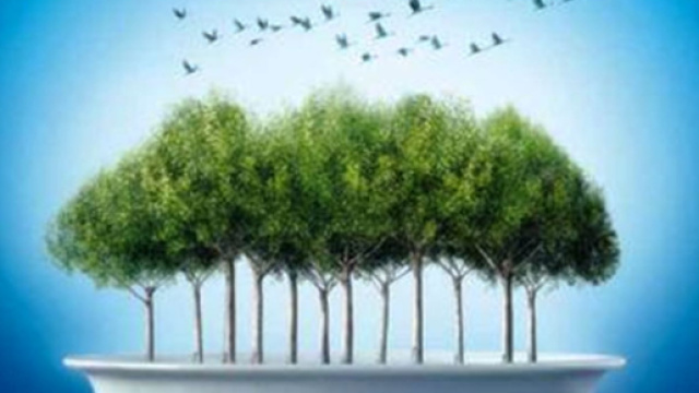 La dieta sana &egrave; salutare, economica ed ecosostenibile.