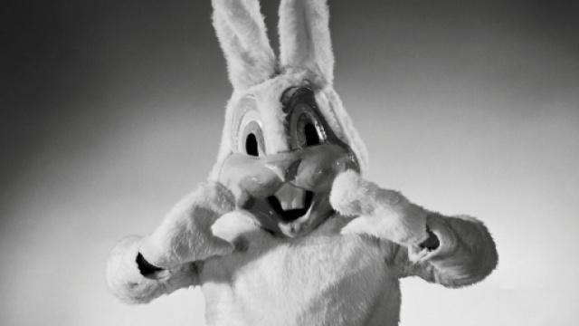 Usa, Florida: un uomo travestito da coniglio salva una ragazza da un'aggressione.