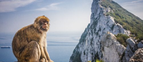 Gibraltar podr&iacute;a ser considerada "colonia"