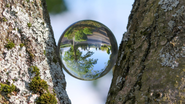 L'orosopo del weekend dal 3 al 5 maggio.
