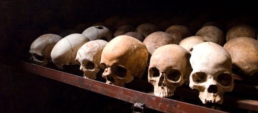 A 25 a&ntilde;os del "holocausto africano"