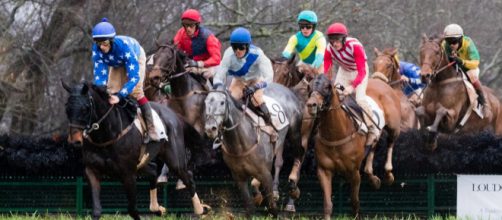 'Magnificent Racehorses' to attract new fans (Image credit - flickr / MBandman)