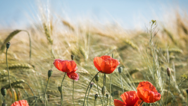Oroscopo marted&igrave; 9 aprile: Cancro volubile, Gemelli confidenziale