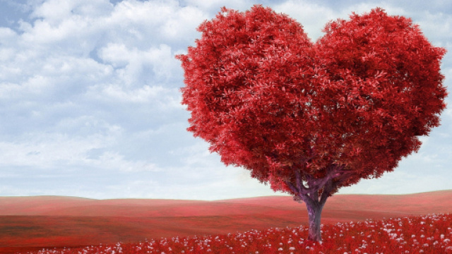 Oroscopo sull'amore di maggio 2019: Toro e Gemelli sul podio.