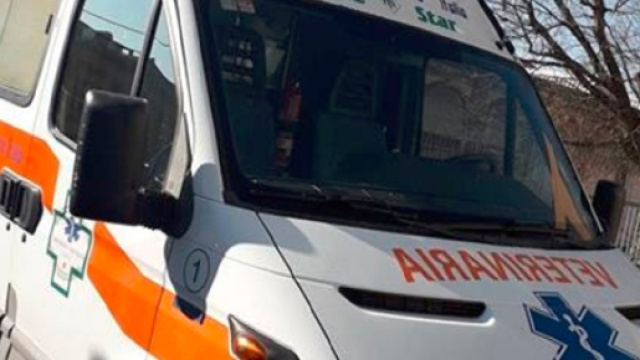 Varese, nasce la prima ambulanza veterinaria, attiva 24 ore su 24