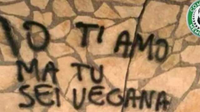 5 Commenti Memorabili di Vegani & Vegetariani su Facebook