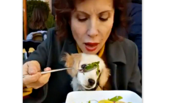 Alda D'Eusanio: il cane mangia dal suo stesso piatto