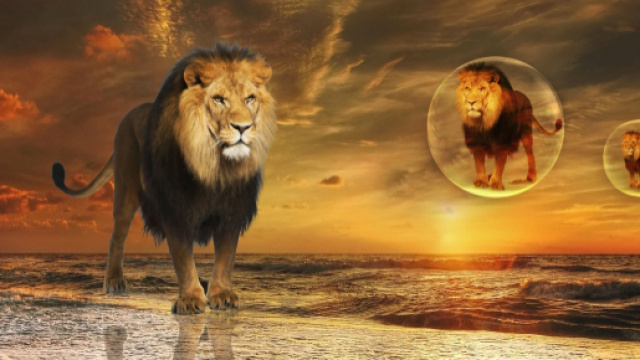 Oroscopo 1&deg; maggio: Acquario eclettico, Leone spumeggiante