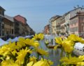 Milano, domenica 14 aprile Fiori e Sapori torna sul Naviglio