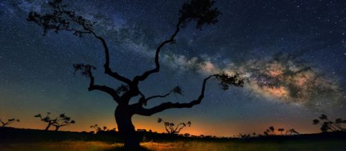 Meio ambiente envia sinais de esgotamento e esp&eacute;cies est&atilde;o seriamente amea&ccedil;adas de vida. (Arquivo Blasting News)